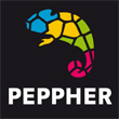 PEPPHER Project